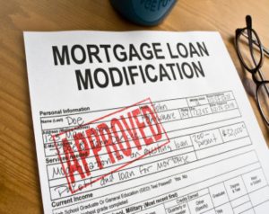 chapter 13 bankruptcy in long island